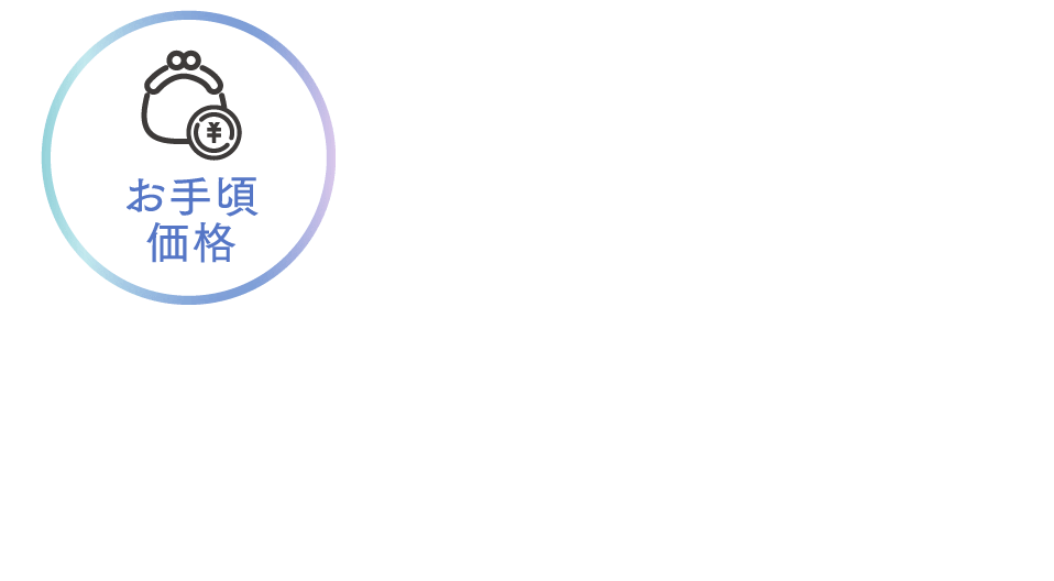 お手頃価格