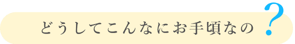 どうしてこんなにお手頃なの？